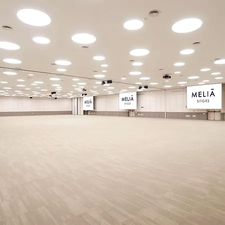 Hotel Melia 4*